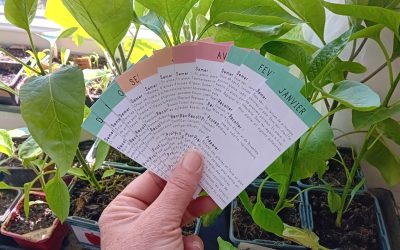 Un mémo pour savoir quoi faire mois par mois au jardin !