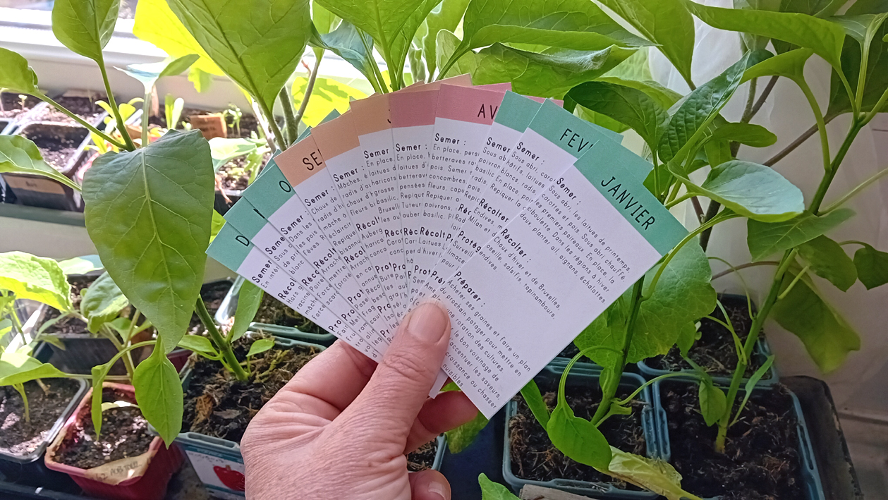 Un mémo pour savoir quoi faire mois par mois au jardin !